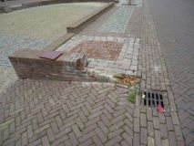 haven-zevenbergen-1.jpg